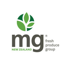 MASTER MG LOGO