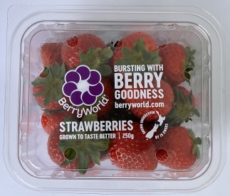 BerryWorld NZ Punnet