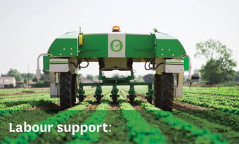 Labour Support v2