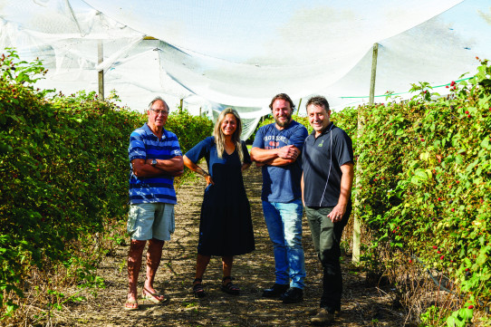 018 BruntwoodGardens 15Dec2020 3600px